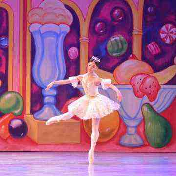 Arts Ballet Theatre of Florida